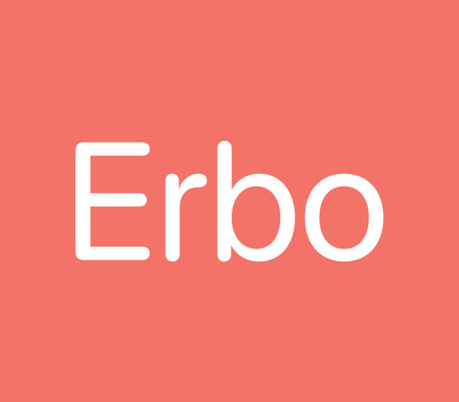 App Developer Edinburgh: Erbo Boosts Innovation with £1 Million Investment in App Development Technology