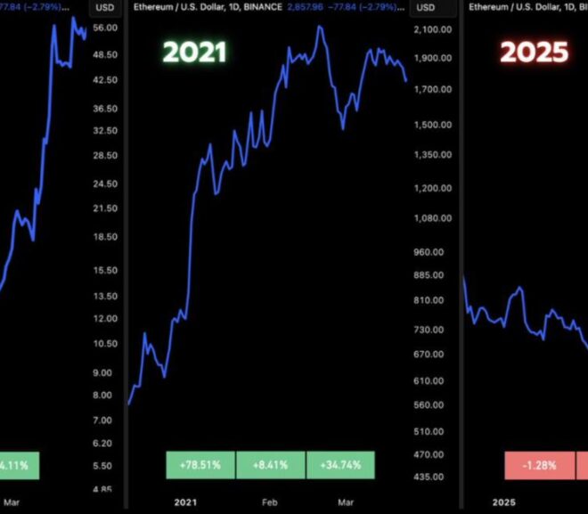 NPC’s Steady Growth in a Turbulent Market