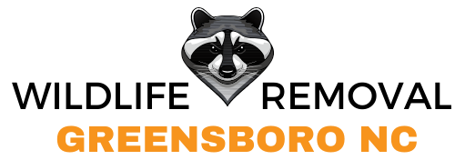 Faircloth Wildlife Removal Recognized as the Top-Rated Wildlife Removal Company in Greensboro, NC
