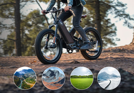 Introducing Marsant’s X Fat Tire Electric Bikes: Ant5 and Ant6 Models
