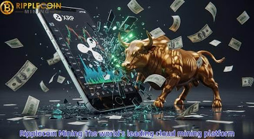 XRP leads the market rebound. Ripplecoin Mining launches new contracts, allowing users to easily earn XRP and BTC.
