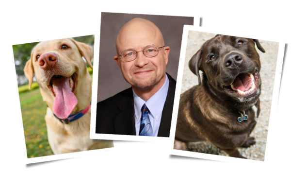 Veterinarian Advocates for Microbiome-Based Pet Nutrition as the Future of Wellness