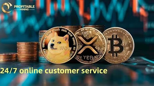 ProfitableMining Empowers DOGO Holders with $5,920 in Reliable Daily Earnings