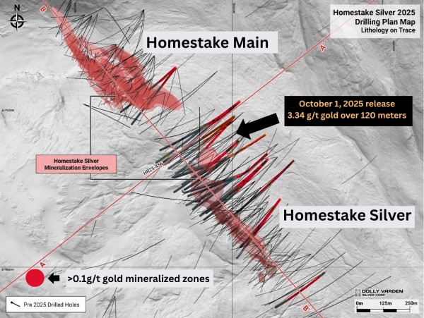 Dolly Varden Silver Confirms High-grade Gold System at Homestake Ridge