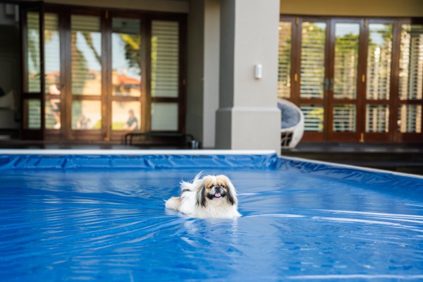 Designer Pool Covers Announces Regional Expansion with Partners Across Mozambique Botswana Zimbabwe and Zambia