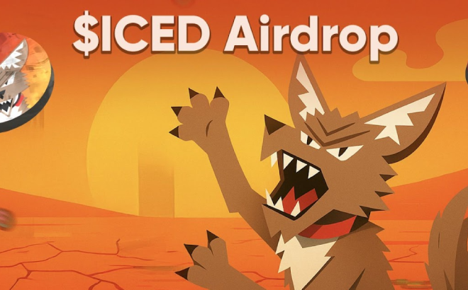 ICED Launches Innovative Data-Driven Airdrop Campaign Based on U.S. Government Immigration Data