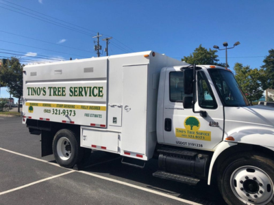 Tino’s Tree Service Announces Launch of Services in Newly Added Areas