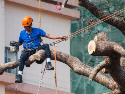 Menomonee Falls Homeowners Rely on Tree and Snow Removal Services for Fast, Safe, and Reliable Tree Services