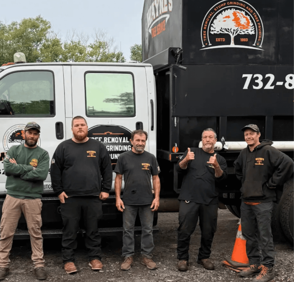Wayne’s Tree Service Celebrates Over 30 Years of Serving Central New Jersey