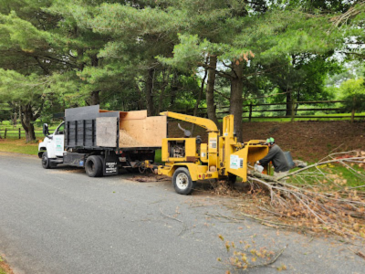 Silver Spring Residents Count on H and E tree service and landscaping llc for All Types of Tree Service Backed by Licensing and Insurance
