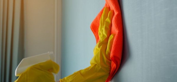 Speese Painting Underscores the Role of Surface Preparation in Professional-Grade Painting Results