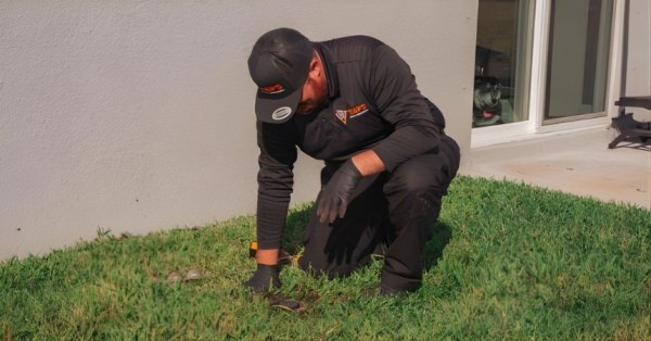 Comprehensive Pest Control Now Available in Sun City Center, Florida