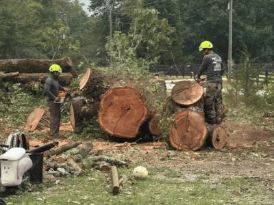 Z’s Outdoor Services Expands Emergency Tree Service to Greensboro and Beyond