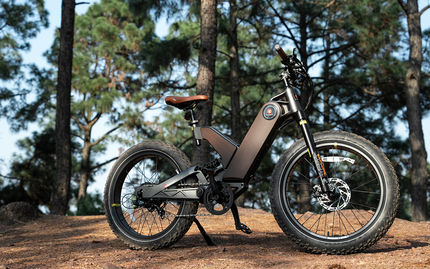 Annual Holiday Sales and Deals: Marsant’s X Ant5 & Ant6 Fat-Tire E-Bikes Sale