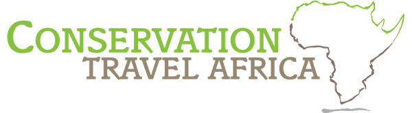 Conservation Travel Africa Highlights Growing Opportunities for Mature Volunteers in Ethical Primate Conservation