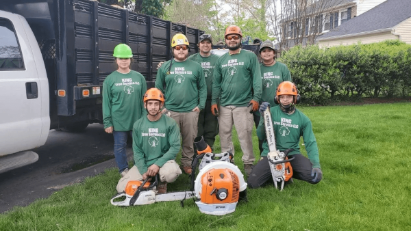 King Tree Services Celebrates 15 Years of Trusted Tree Care in Northern Virginia
