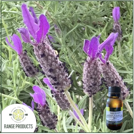 Range Products Expands Distribution of Australian Essential Oils in Response to Global Interest