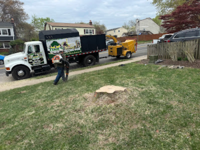 Tino’s Tree Service VA Announces Seasonal Operations to Manage Heavy Wet Snow Stress