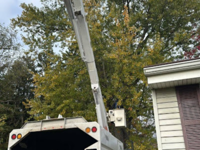 Solid Oak Tree Service Announces Seasonal Response Plan for Snow-Related Tree Damage