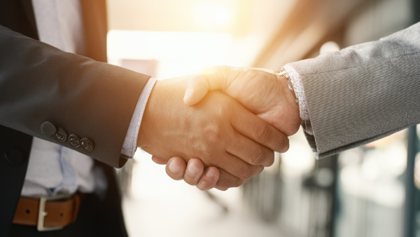 TOGA Limited Secures Shareholder Approval for Merger and Corporate Restructuring