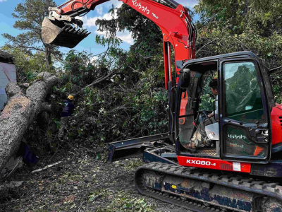 Al’s Outdoor Needs Launches Full-Service Tree Care for the Atlanta Metropolitan Area