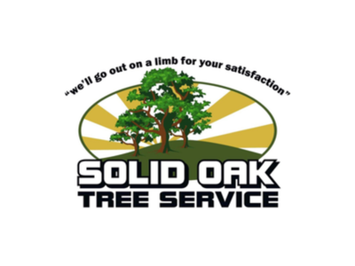 24-Hour Emergency Tree Removal Now Available Across Pittsburgh