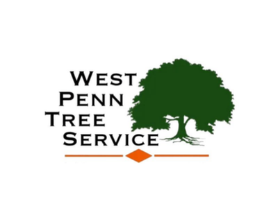 Murrysville Tree Service Offers Transparent Pricing, No Hidden Costs