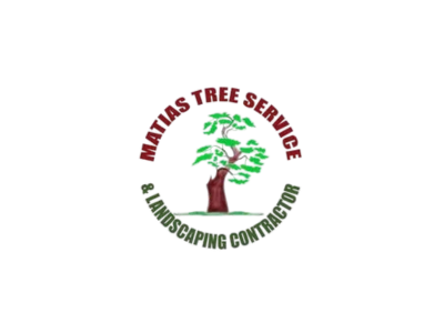 Matias Tree Service and Landscape Contractor Brings Expert Tree Removal to Sacramento Communities
