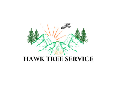 Local Arborists Help Colorado Springs Homeowners Create Defensible Space Through Trimming