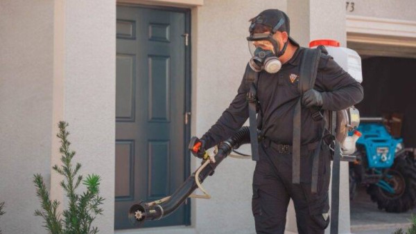 Florida Pest Control Costs Revealed as Homeowners Face Rising Year-Round Pest Pressure