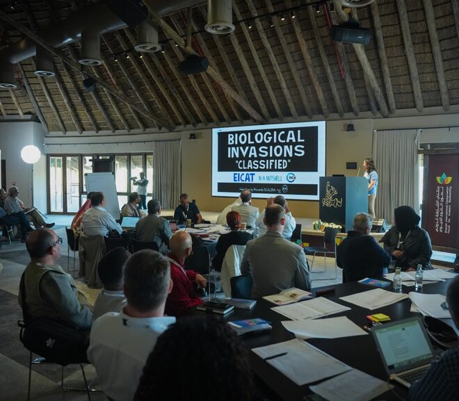 Sharjah International Conservation Forum for Arabian Biodiversity (SICFAB) Discusses Seabird Rescue and the Risks of Invasive Species