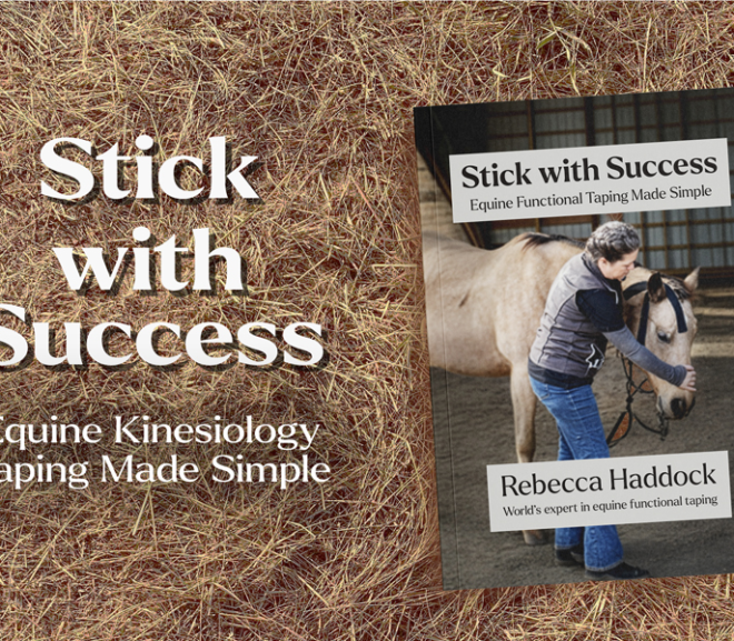 Rebecca Haddock’s Stick with Success Reaches no.1 on Amazon, Redefining Modern Equine Care Through Functional Taping