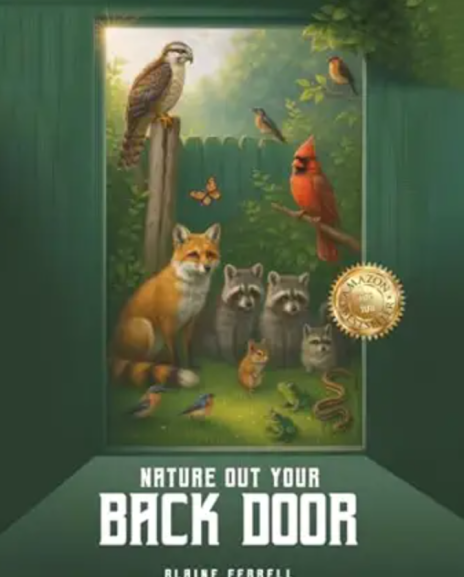 Exploring Nature’s Wonders: A Journey into the Backyard Ecosystem
