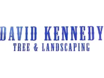 From Emergency Removals to Routine Trimming, David Kennedy Tree and Landscaping Is Culpeper, VA’s Local Answer