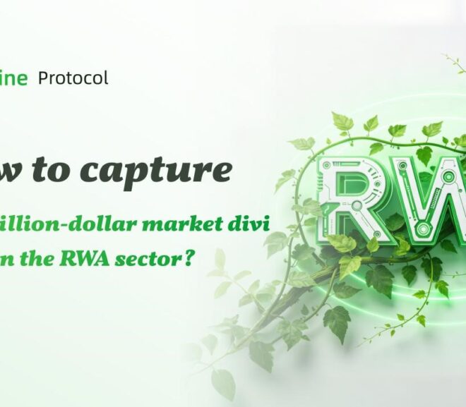 Vine Protocol : A new engine for the RWA sustainability track, how to capture trillion-dollar market dividends?