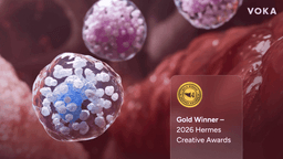 VOKA Takes Gold at the Hermes Creative Awards 2026