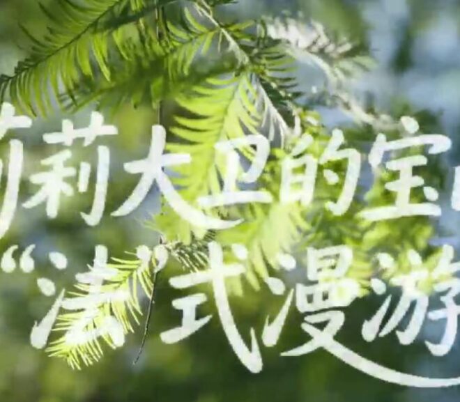 Foreign-Related Legal Awareness Short Video “Lily and David’s Legal Journey Through Baoshan” Officially Released!