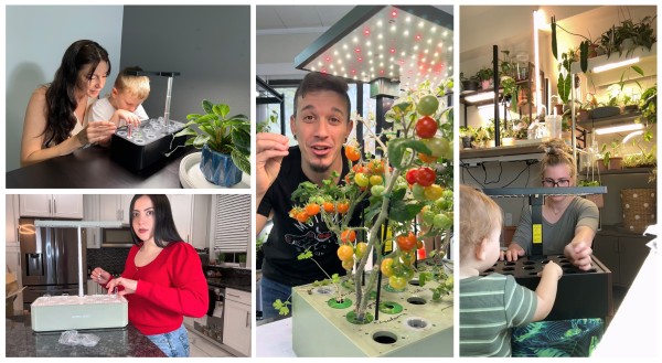 Suncoze Introduces Its Smart Hydroponic System, Bringing Nature Closer to Home
