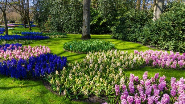 Garden Planting Design Trends in Grand Rapids