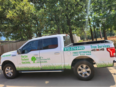 Bladi’s Tree Service Expands Tree Removal and Emergency Response Services Across Grand Prairie