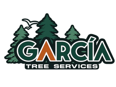 Garcia Tree Removal Service Explains Tree Decline Signs for Bay Shore Homeowners