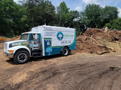 White Oak Tree Expert Expands Professional Tree Care Services Across Maryland to Meet Growing Demand.