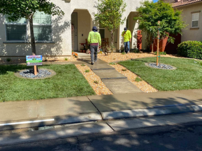 Matias tree service and landscape contractor Highlights Growing Interest in Tree Services