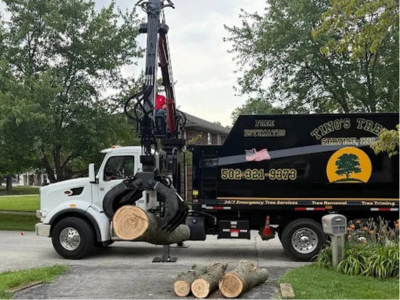 Tino’s Tree Service Highlights Rising Concerns Over Hazardous Trees in Residential Neighborhoods.