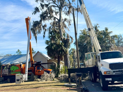 Gateway Tree Service Urges Florida Property Owners to Address Tree Risks as Hurricane Season Reaches Its Peak
