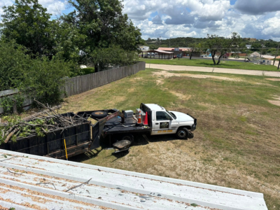 Borders Tree Services Expands Capacity to Meet Growing Tree Care Needs Across Sutton and Crockett Counties.
