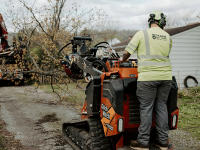 Keystone Tree Techs Introduces Advanced Tree Assessment Services for Pittsburgh Properties.