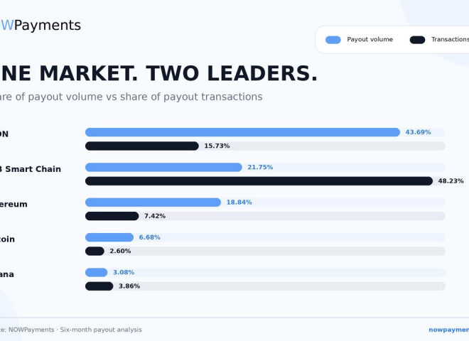 NOWPayments Releases Cross-Chain Payout Data Revealing Key Performance Benchmarks Across TRON, BNB Chain, and Solana