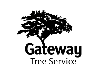 Gateway Tree Service Earns More Than 50 Google Reviews in Lake City, Florida